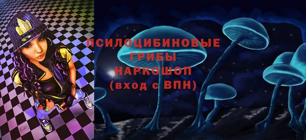 СК Алексеевка
