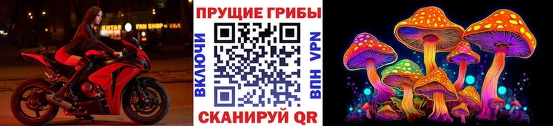 Псилоцибиновые грибы Cubensis  хочу наркоту  Ардон 